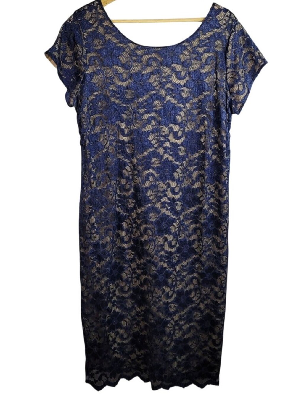 Cato Woman Floral Lace Cocktail Dress Blue Size 18 20W Cap Sleeve Knee Length